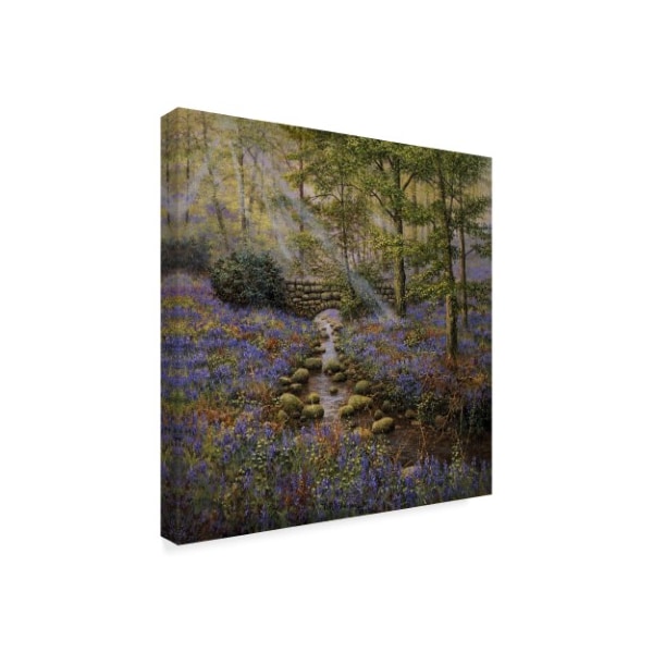 Bill Makinson 'Bluebell Bridge' Canvas Art,18x18